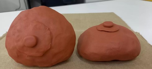 A ideia da aluna Lívia Maria de Tillio foi gerar uma prótese mamária personalizada, utilizando a impressora 3D