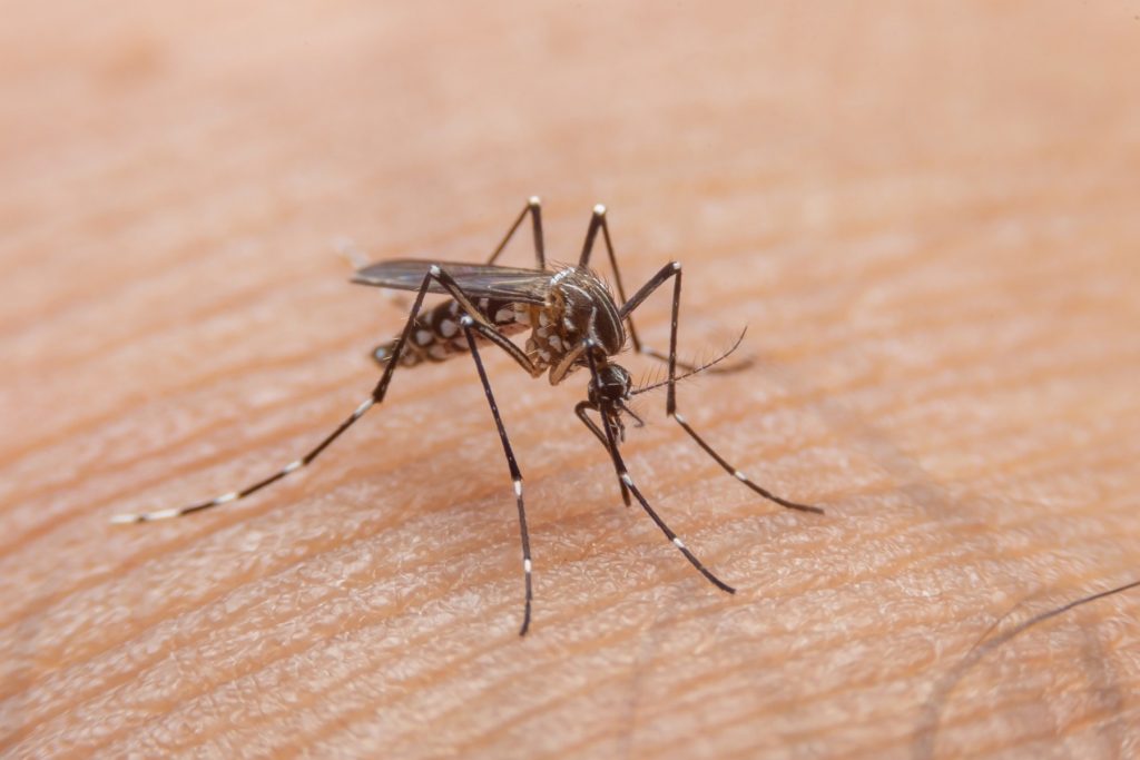 Mais duas mortes por Dengue em Jaú