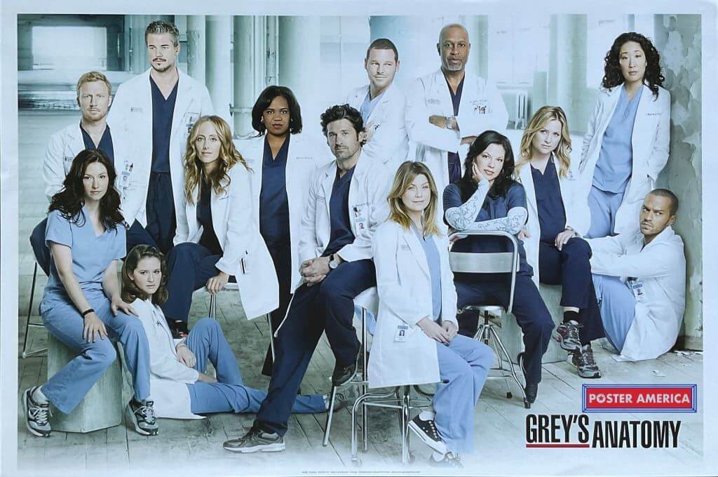 Grey’s Anatomy na Netflix: tudo o que você precisa saber sobre a série médica mais famosa do mundo 2 greys anatomy na netflix tudo o que voce precisa saber sobre a serie medica mais famosa do mundo 3
