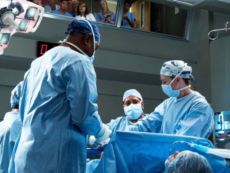Grey’s Anatomy na Netflix: tudo o que você precisa saber sobre a série médica mais famosa do mundo greys anatomy na netflix tudo o que voce precisa saber sobre a serie medica mais famosa do mundo 4