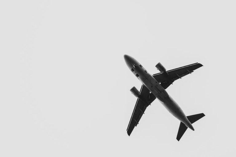 capa 233